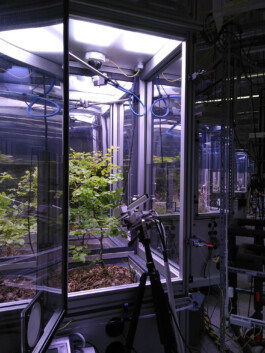 Micro Macro – Life Sciences in Jena