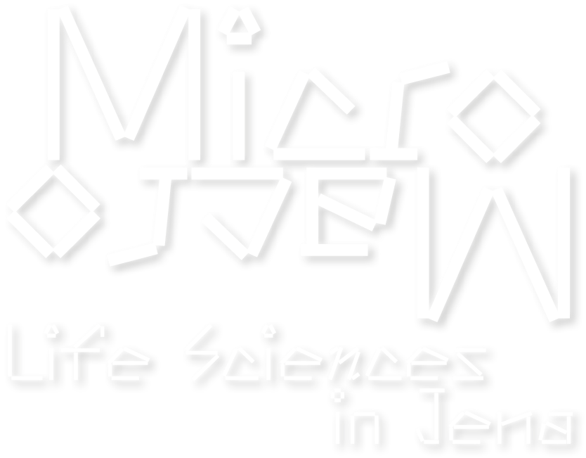 Micro Macro – Life Sciences in Jena